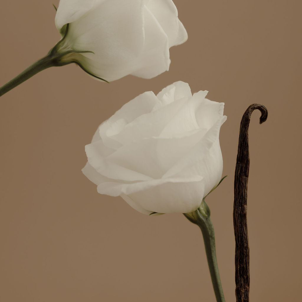 AURA Perfume - Orchid + Ash